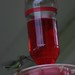 Ruby Mills Photo 20