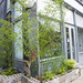 Lynn Weber Photo 12