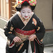 Shin Cho Photo 7