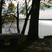 Marie Reed Photo 33