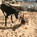 Andy Link Photo 11