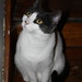 Heidi Gray Photo 22