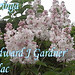 Edward Gardner Photo 27