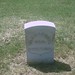 Addie Williams Photo 28