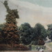 Elizabeth Oaks Photo 14