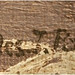 Charles Johanns Photo 11