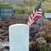 Wayne Sanders Photo 15
