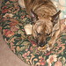Becky Patton Photo 14