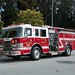 Tracy Perez Photo 39