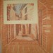 Kathleen Fellows Photo 10