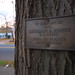 Chester Lyons Photo 4