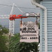 Debbie Crane Photo 21