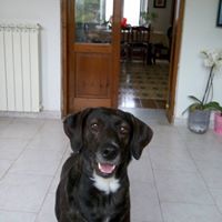 Maria Castagna Photo 14