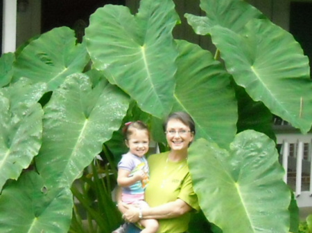 Joann Graham Photo 30