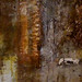 Carol Nix Photo 13