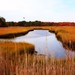 Thomas Kline Photo 34