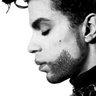 Richard Chisholm Photo 33