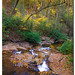 Cliff Dodd Photo 10