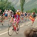 Miguel Francois Photo 2