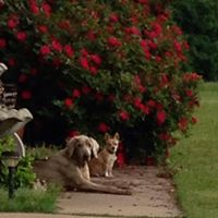 Sally Hendricks Photo 13