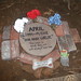 April Graves Photo 15