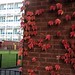 Autumn Bell Photo 36