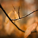 Matt Graver Photo 24