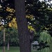 Nathanael Greene Photo 34