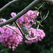 Debra Cardinal Photo 14