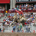 Cheyenne Tracy Photo 9