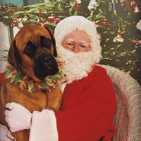 Debra Schulte Photo 5