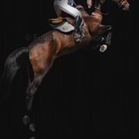 Judith Garofalo Photo 5