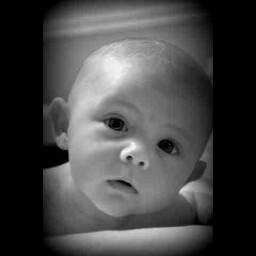 Gavin Gardner Photo 22