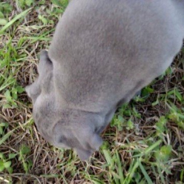 Tammy Webb Photo 36