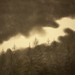 Debbie Cloud Photo 20
