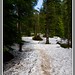 Heather Trail Photo 12