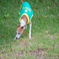 Robert Castleberry Photo 24