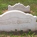 Elizabeth Fogarty Photo 21