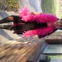 Elizabeth Appel Photo 31