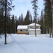 Kathy Wainwright Photo 23