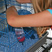 Elizabeth Linn Photo 22