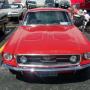 Dave Kingsbury Photo 28