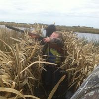 John Robichaux Photo 23