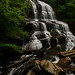 Edwin Pearson Photo 9