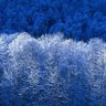 William Baer Photo 43