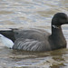 Brent Wells Photo 40