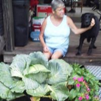Ramona Wallace Photo 13