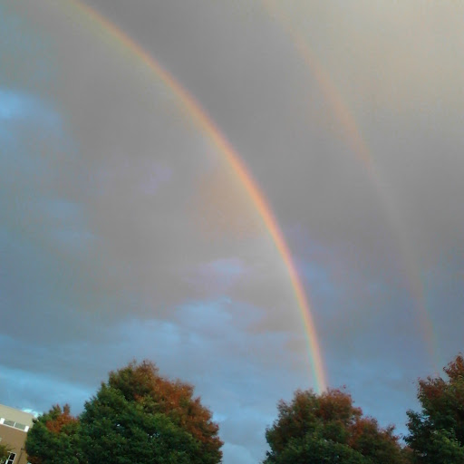 Debra Mcneill Photo 5