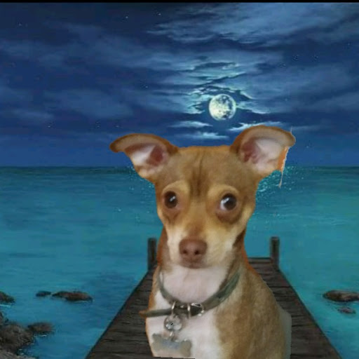 Nelson Maya Photo 2