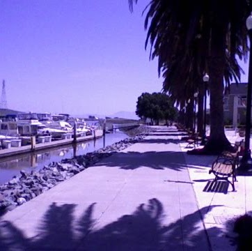 Gina Fisher Photo 8